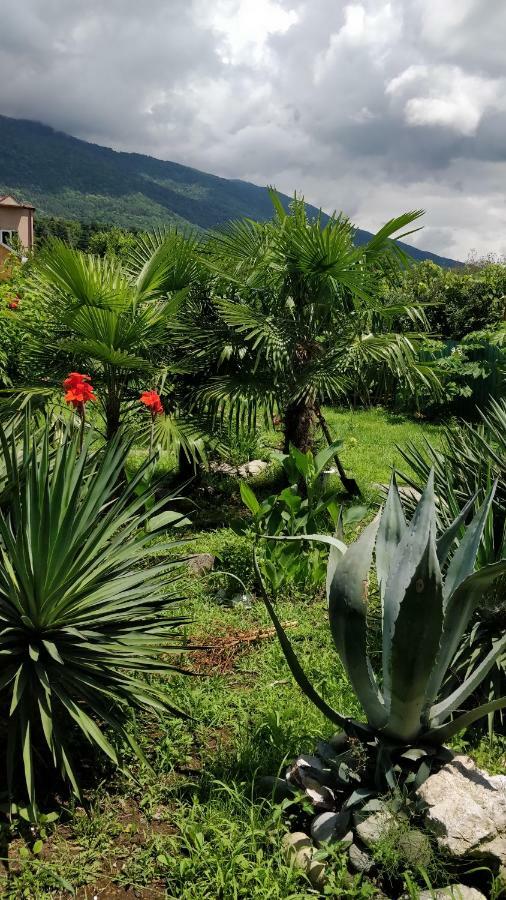 Tikhaya Gavan Guest House Gagra Exterior foto